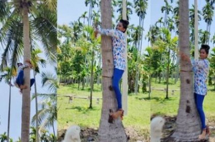 anjaan Movie actress tree climbing without rope goes viral