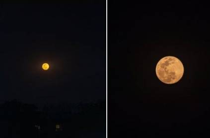 biggest and brightest Super pink moon visible in sky