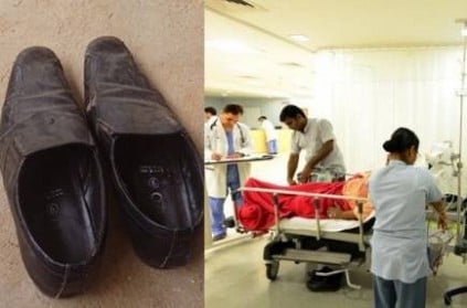 Bitten by Snake Inside Shoe, Chennai Woman Fights for Life