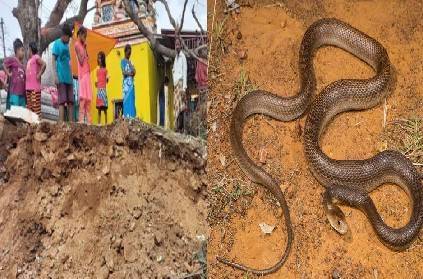 chengalpattu snake pit demolished after temple land dispute details