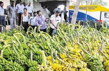 Chennai Koyambedu 2 tonnes of artificially ripened Bananas