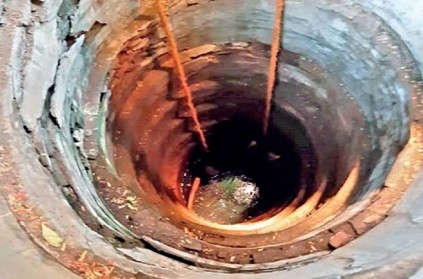 Chennai professor falls into well during cat rescue
