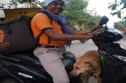 chennai swiggy food delivery man goes with his pet