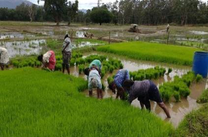cm edapadi announces delta regions as protected agriculture zone