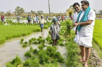 CM Palanisamy announced that the crop loan of farmers will be waived