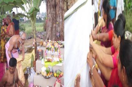 coimbatore marriage for banyan tree neem tree by village goes viral