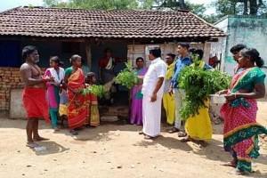 ஆட்டிப்படைக்கும் 'கொரோனா' வைரஸ்க்கு எதிராக... 'வேப்பிலையைக்' கையில் எடுத்த மக்கள்!