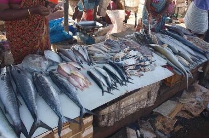Corona and Bird Flu panic, Vanjaram fish price has been increased