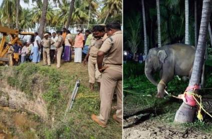 Dharmapuri Elephant fell in well rescued after 15 hours