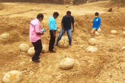 Dinosaur eggs found near Kunnam lake in Perambalur