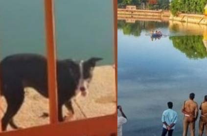 Dog Mystery act in Madurai Teppakulam area