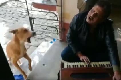 Dog singing along with man as he plays Teri Meri Kahaani on harmonium
