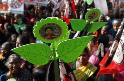 double leaves symbol sasikala files review petition in SC