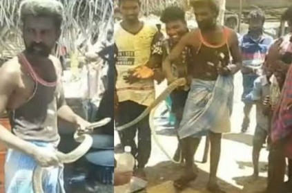 Drunken man came to market with snake in Pudukkottai