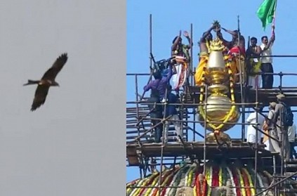 Eagle flies at Thanjavur big temple Kudamuzhukku