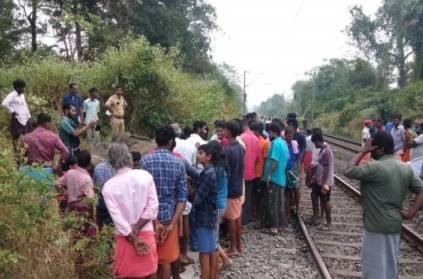 elephant died after train hits near coimbatore kerala border
