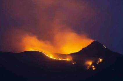 Fire held in Kadambur Hills in Erode in Sathyamangalam