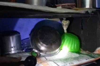 Forest department caught snake in the kitchen in Coimbatore