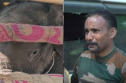 Forest Officer Breaks down after Baby Elephant Leaves Him