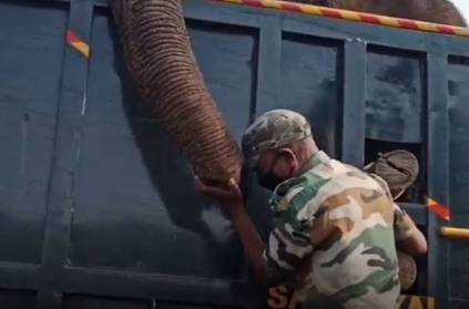 forest officer cries by holding masinagudi dead elephant trunk