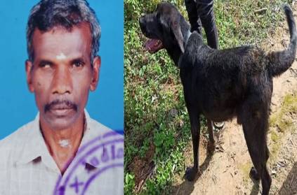 Gudalur Police recovered body with help of jockey dog.