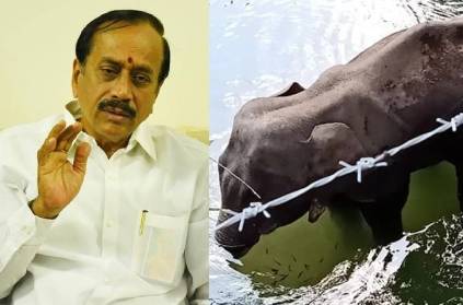 H Raja tweets about Elephant\'s death in Kerala