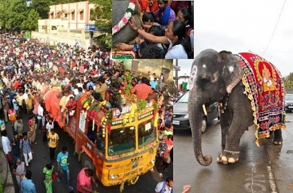 Is this the reason for Manakula Vinayagar Temple Elephant Demise