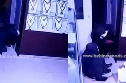 lalitha jewellery shop robbery cctv footage released