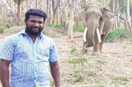 Madurai : Temple elephant from Thiruparankundram trampled its mahout