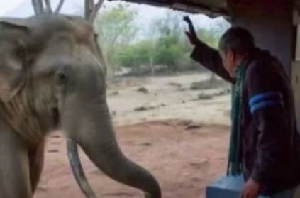 Mudumalai forest elephant lost its human friend heartfelt backstory