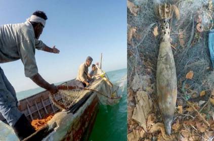 Nagapattinam has given a rocket launcher to fishermen at sea