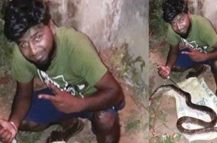 Nagercoil : Two held for hunting Wild Animals and eating