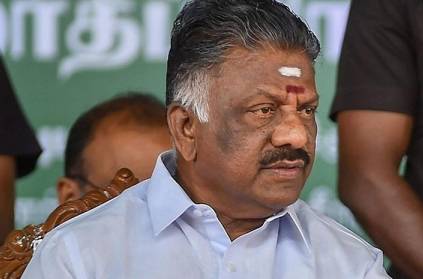 O Panneerselvam supporters are expecting big announcement from him