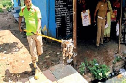Palani ration shop Firefighters caught a wheat snake