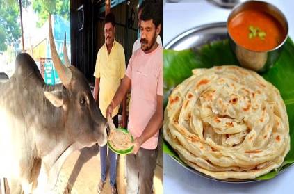parotta eats the temple bull daily at the hotel Madurai