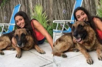 pet dog bites teen girls face while trying to take selfie