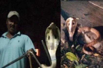 Puducherry forest officer rescues cobra in public