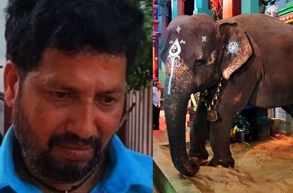 Puducherry Lakshmi elephant rider Sakthivel emotional request