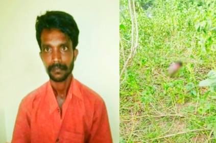Pudukkottai aranthangi 7yr old girl priya rape murder crime TN