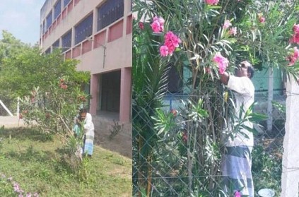 Pudukkottai government school staff maintain school trees in curfew