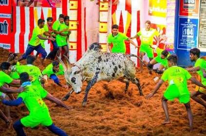 Pudukkottai Jallikattu bull named Ravana was dead