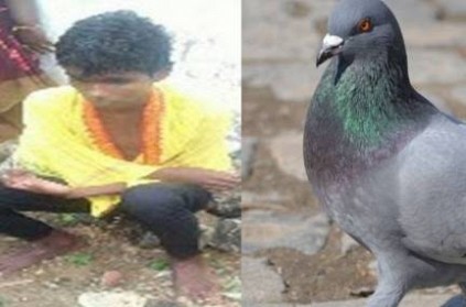 School student falls into the well as he chased the Dove in Namakkal
