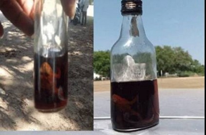 Sirkali : Frog inside liquor bottle purchase from Tasmac
