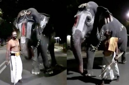 Srirangam temple andal elephant talking to Bhagan Rajesh