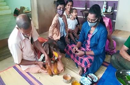 Thanjavur man celebrates pet dog baby shower function