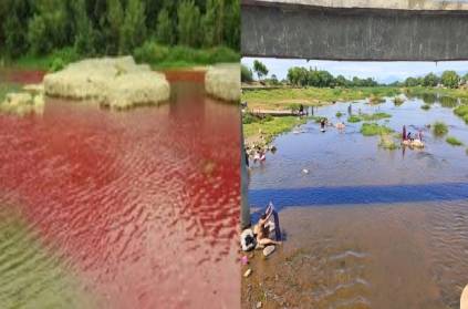 The water of the Thamiraparani river turned red color