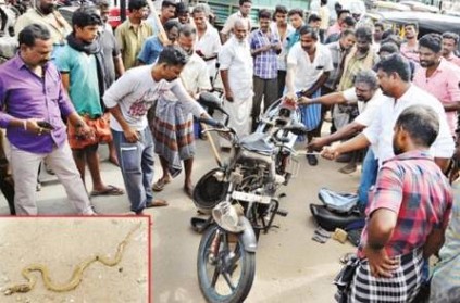 Theni: Bike Meets with Accident, Snake Pops Out