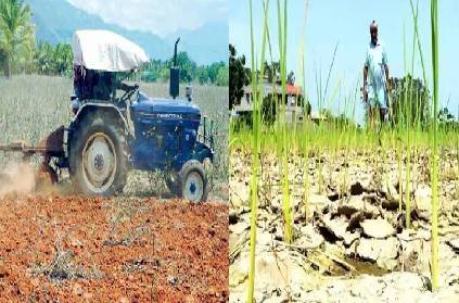 theni farmers destroy crops in their fields amid lockdown