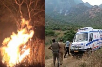 Theni forest fire accident three people dead