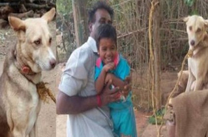 TN Pet Dog is dead after fighting with a Cobra to save its owner - Sad